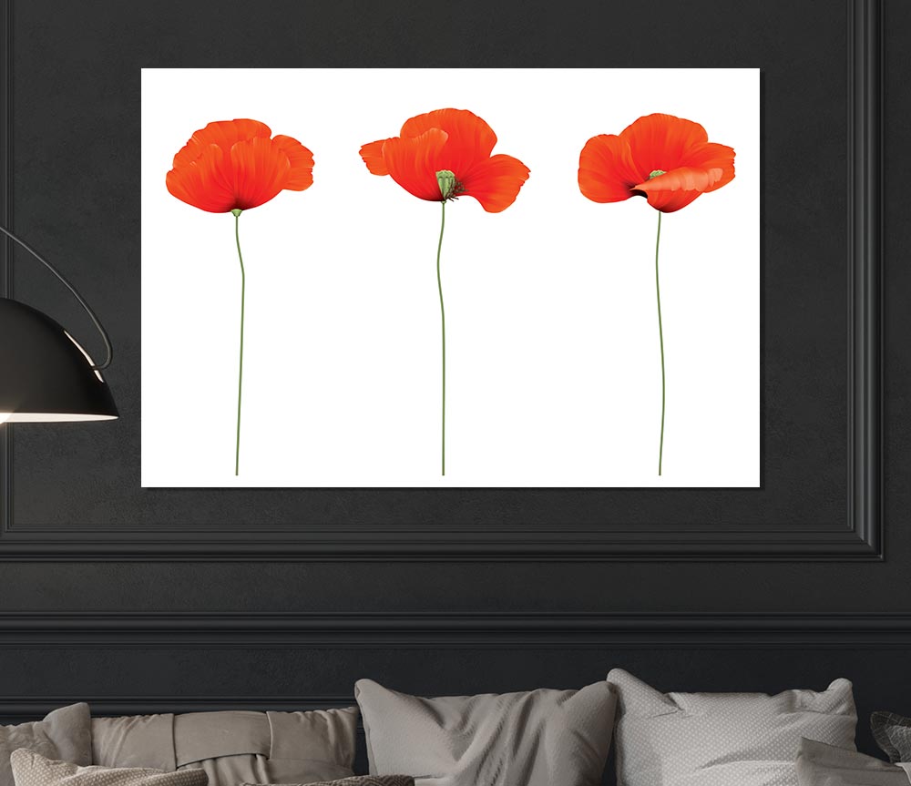 Three Poppies Standing Print Poster Wall Art