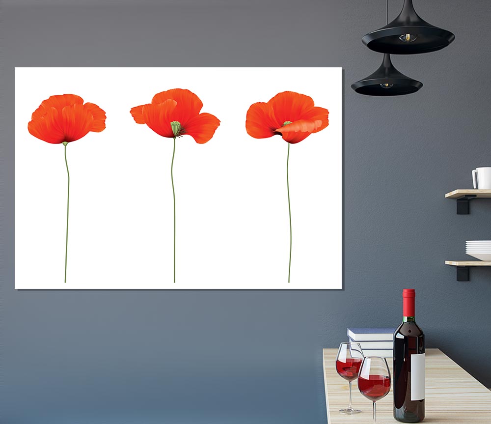 Three Poppies Standing Print Poster Wall Art