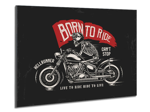 Born To Ride