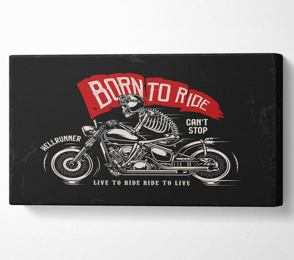 Born To Ride