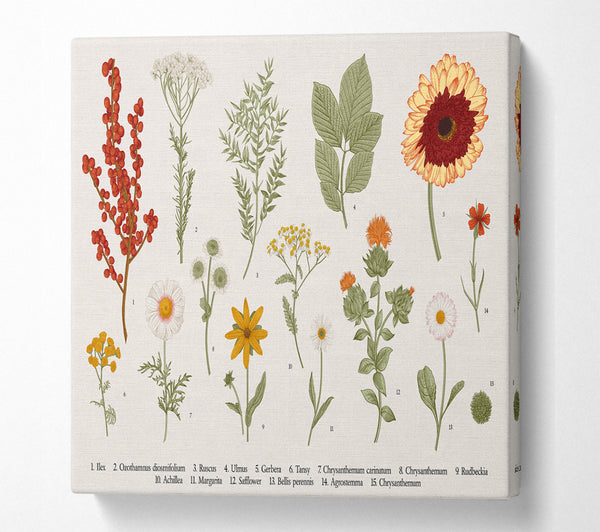 A Square Canvas Print Showing Flower Illustration Handrawn Square Wall Art