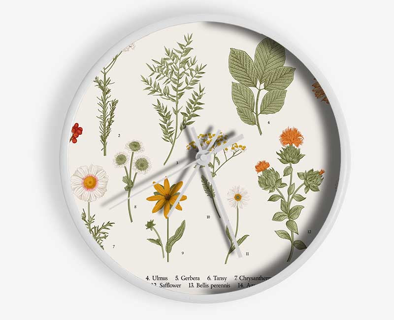 Flower Illustration Handrawn Clock - Wallart-Direct UK