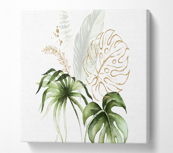 A Square Canvas Print Showing Beautiful Cheese Plant Square Wall Art