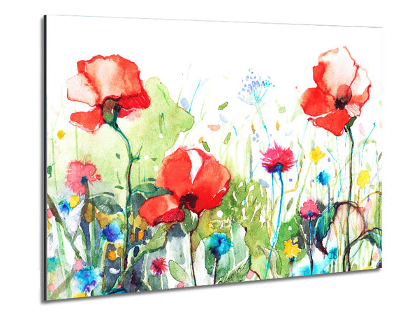 Poppies And Mixed Flowers