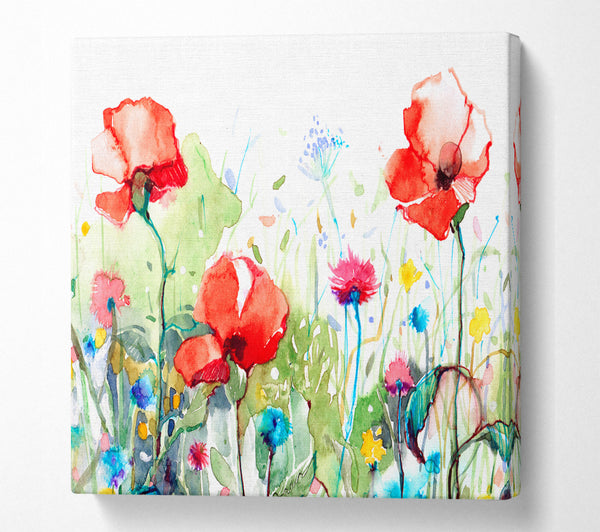 A Square Canvas Print Showing Poppies And Mixed Flowers Square Wall Art