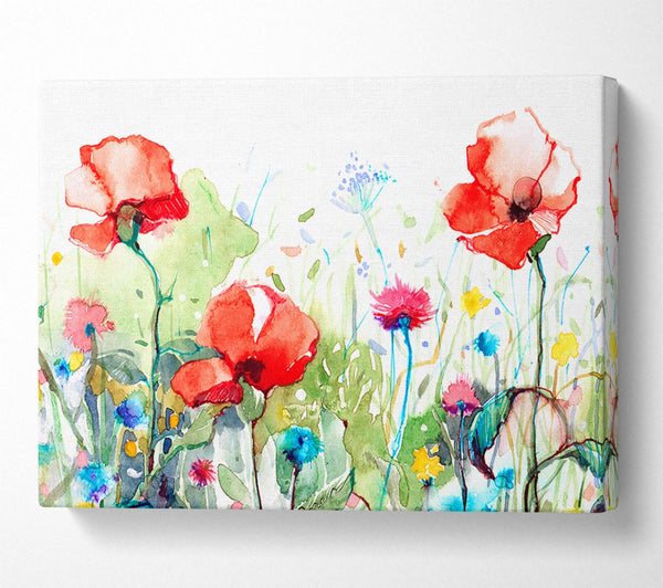 Picture of Poppies And Mixed Flowers Canvas Print Wall Art