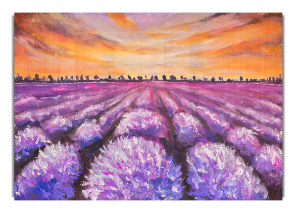 Lavender Fields Supreme