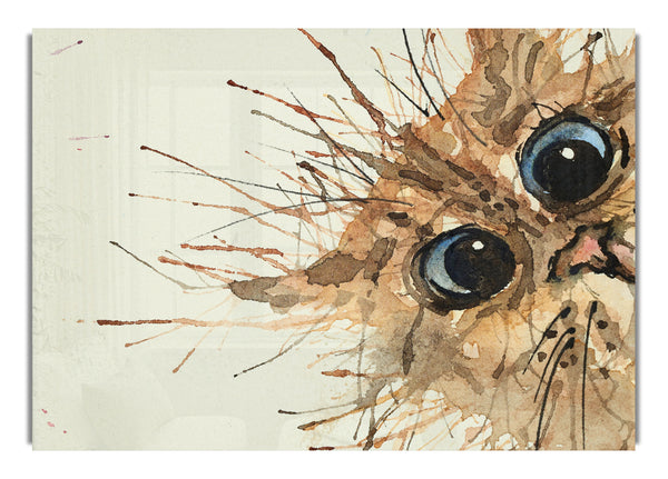 Aquarell Splat Katze