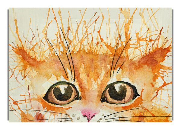 Watercolour Ginger Cat Splat