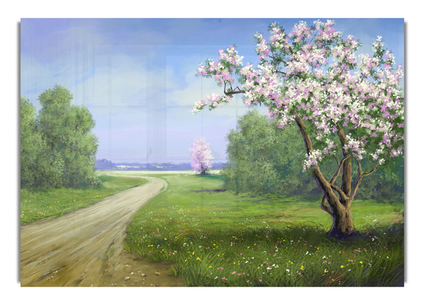 The Road Through The Blossom