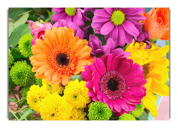 Gerbera Flower Mix