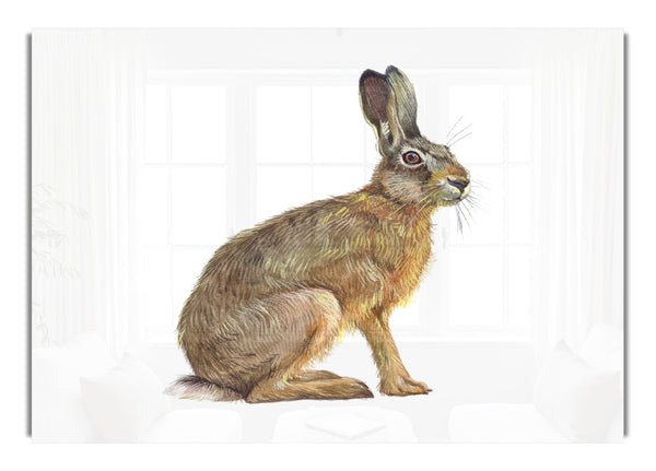 The Hare Alone