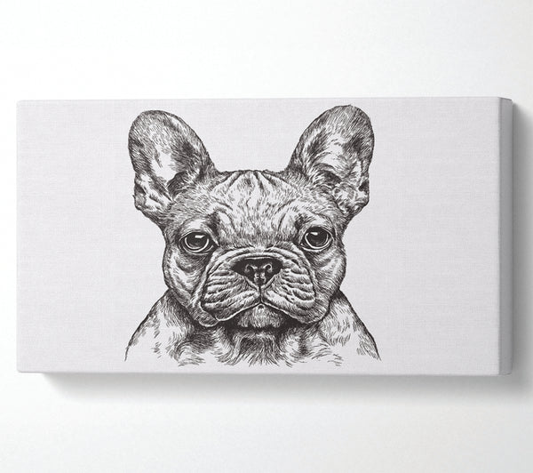 French Bulldog Sketch