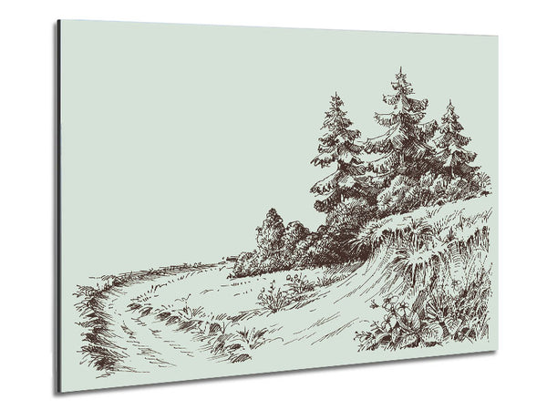 Sketch Of The Canadian Pines