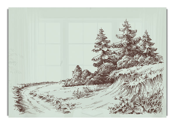 Sketch Of The Canadian Pines