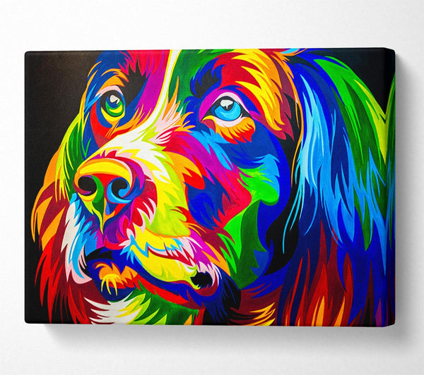 Picture of The Stunning Colourful Dog Canvas Print Wall Art