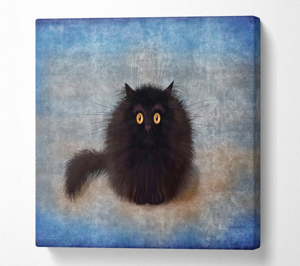 A Square Canvas Print Showing Black Fuzzy Cat Square Wall Art