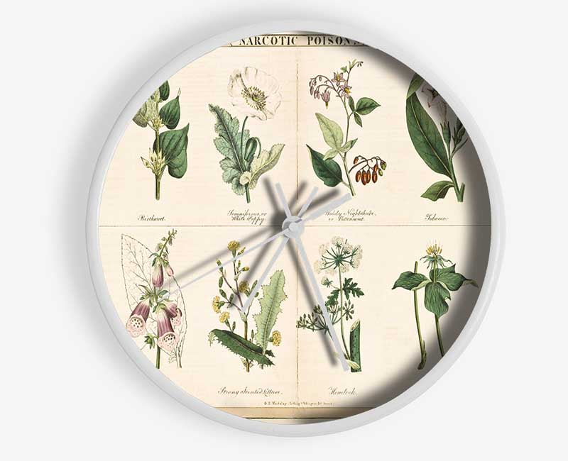 Flower Illustrations Clock - Wallart-Direct UK