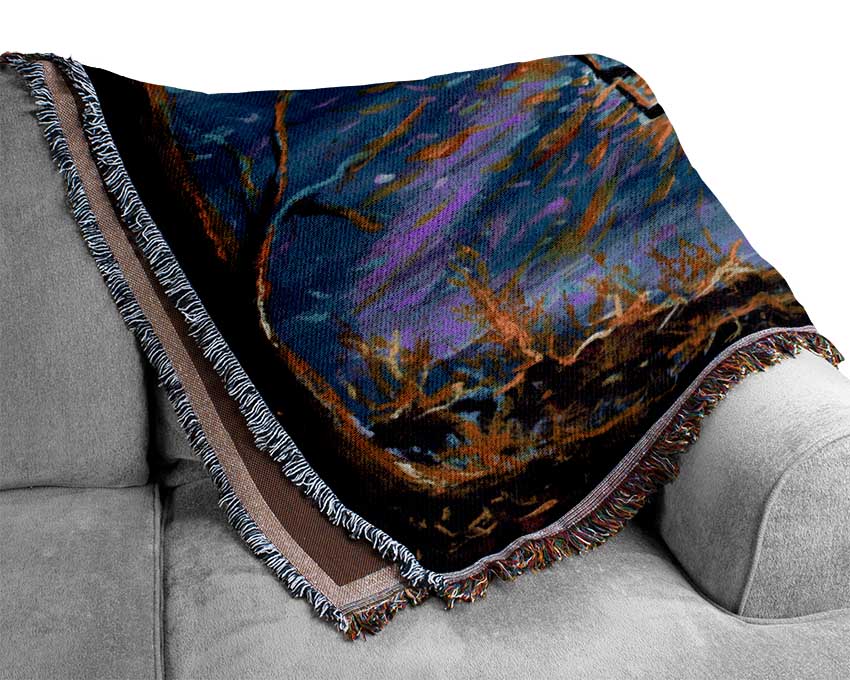 The Swing Into The Universe Woven Blanket