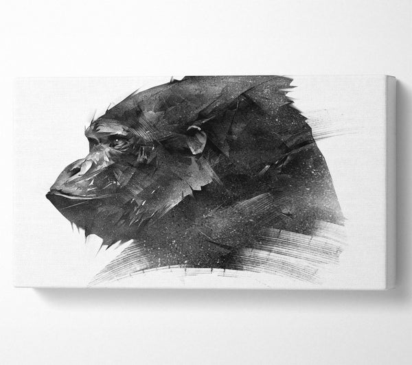 Washed Out Gorilla