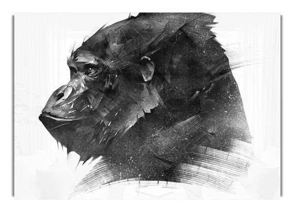 Washed Out Gorilla