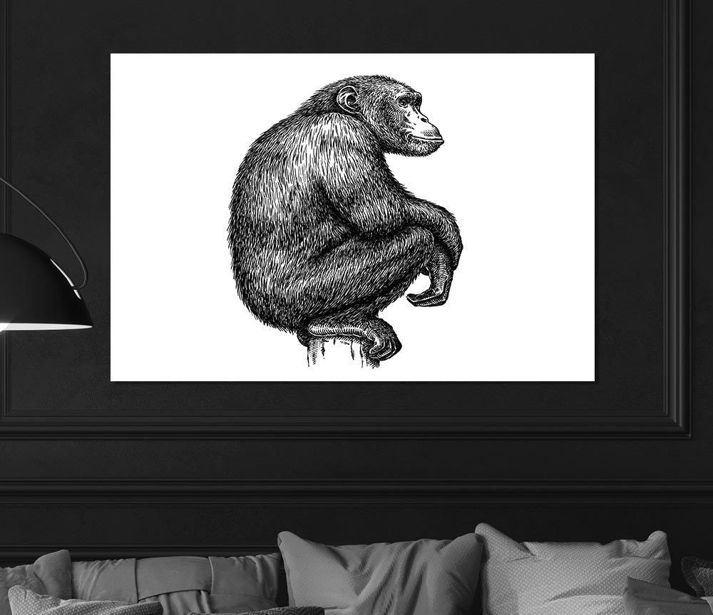 Chimpanzee Sitting Print Poster Wall Art