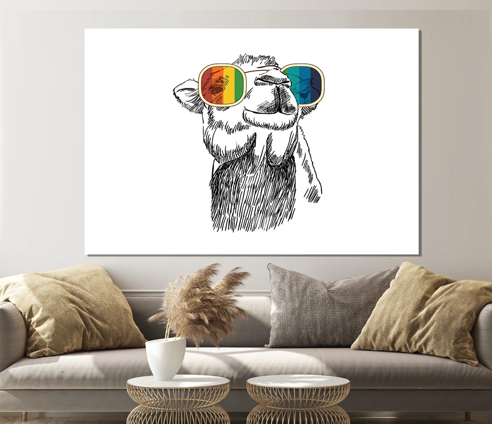 Colourful Glasses Camel Print Poster Wall Art