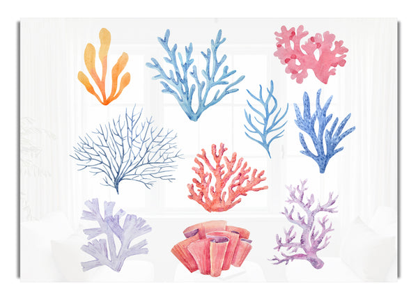 Sea Life Coral