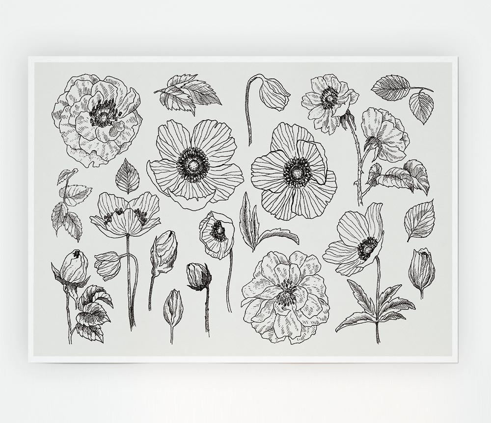 Hand Drawn Flowers Illustration Print Poster Wall Art