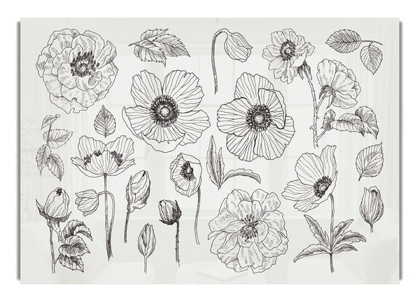 Hand Drawn Flowers Illustration