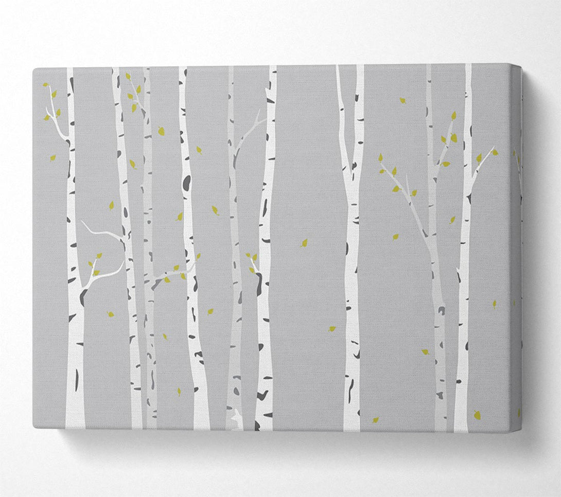 Picture of Birch Trees On Grey Canvas Print Wall Art