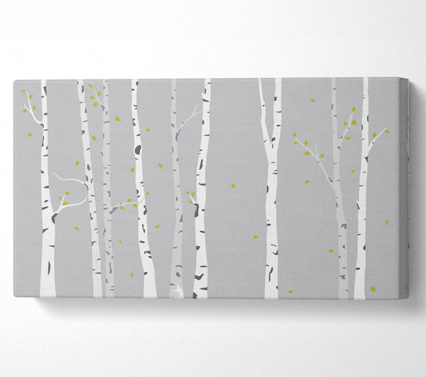 Birch Trees On Grey