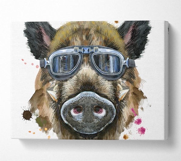 Picture of The Boar In Glasses Canvas Print Wall Art