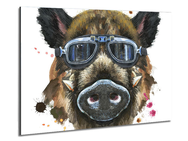 The Boar In Glasses