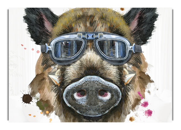 The Boar In Glasses