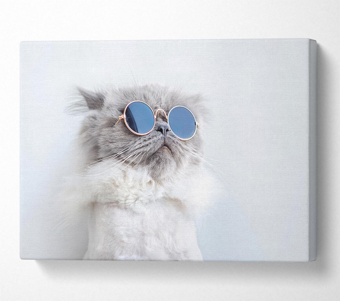 Picture of The Cat In Glasses Canvas Print Wall Art