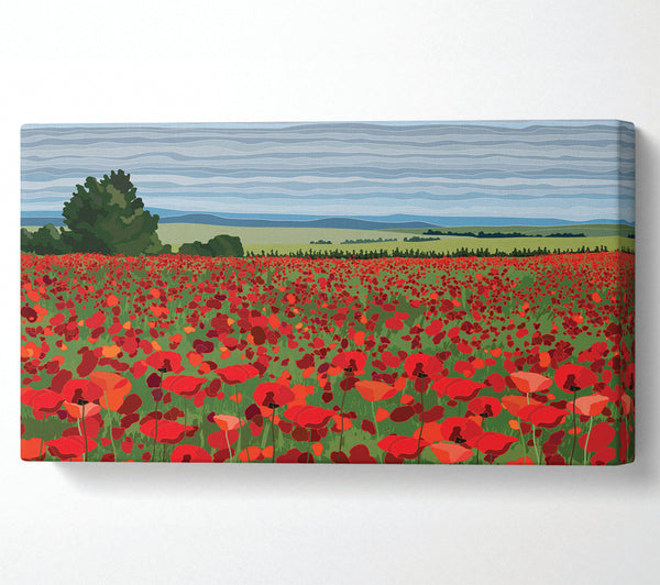 Red Poppy Field Flowers