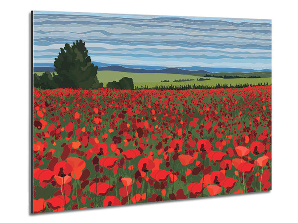 Red Poppy Field Flowers