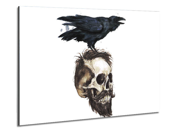 Crow On The Head Of A Skull