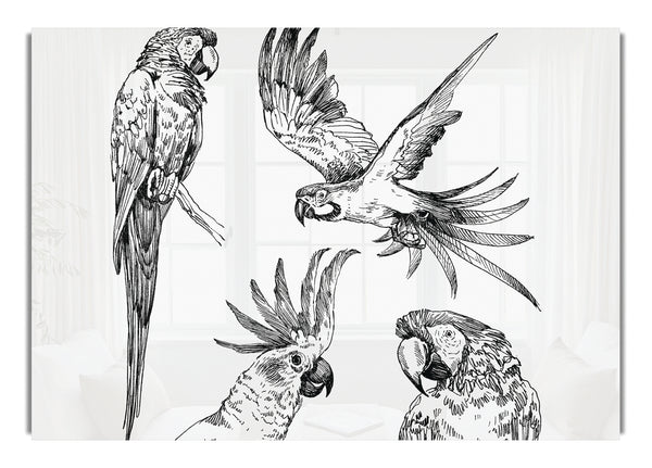 Parrots In Flight Illustration