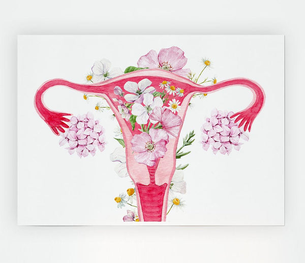 Floral Female Anatomy Print Poster Wall Art