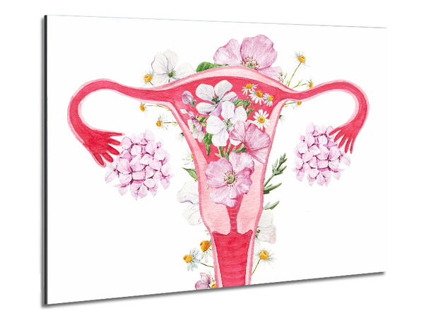 Floral Female Anatomy