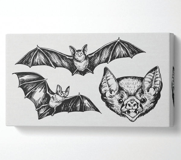 The Trio Of Bat Illustrations