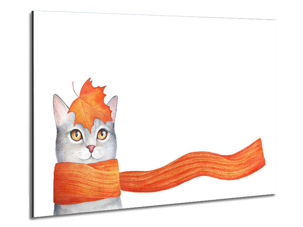 Cat With An Orange Scarf