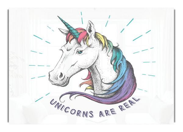 Unicorns Are Real