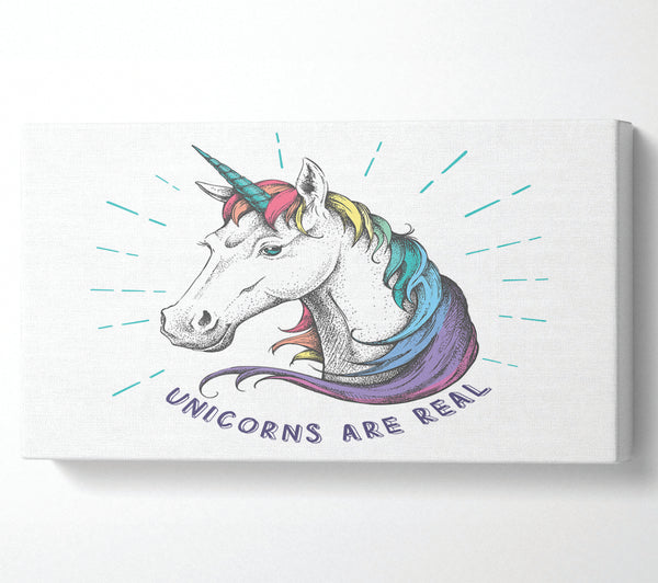 Unicorns Are Real