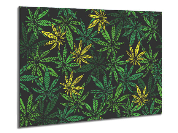 Cannabis Leaves