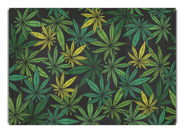 Cannabis Leaves