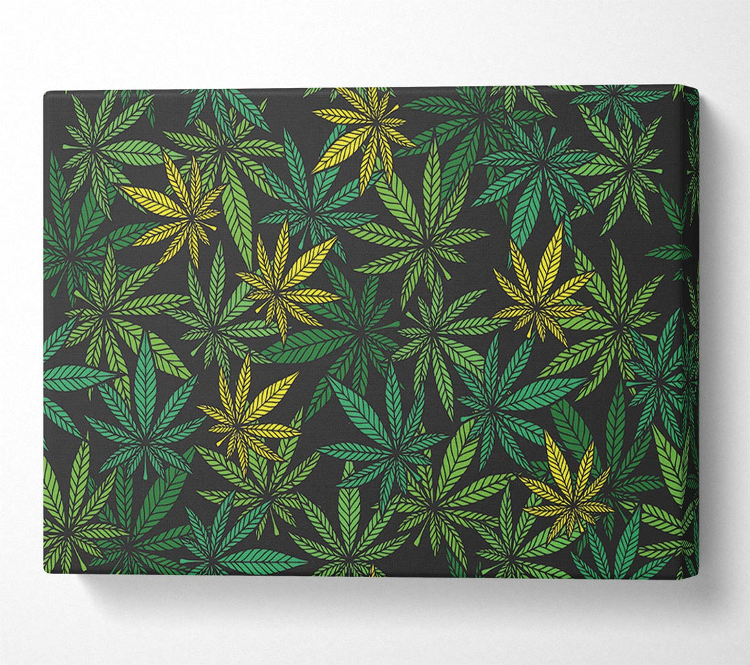 Picture of Cannabis Leaves Canvas Print Wall Art