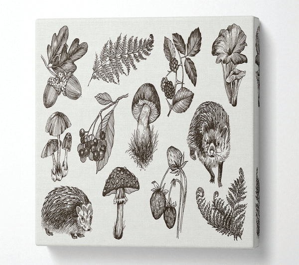 A Square Canvas Print Showing British Flowers And Wildlife Square Wall Art